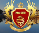腾龙公司LOGO